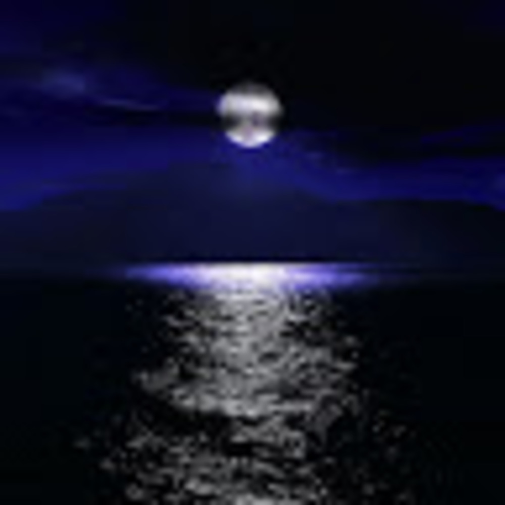 Meet your Posher, Damaris